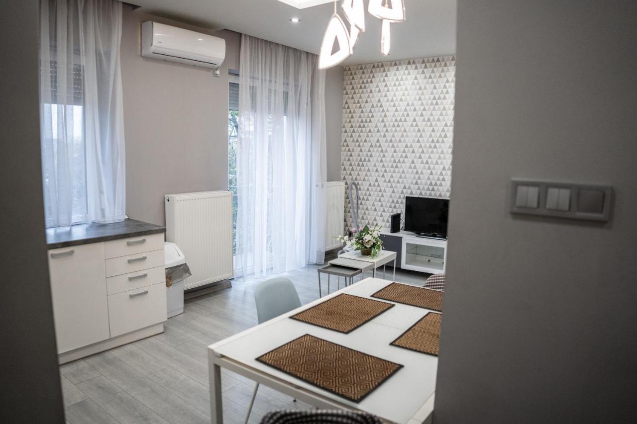 Attila Luxury Apartment سيغيد المظهر الخارجي الصورة